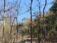 อุทยานแห่งชาติภูพาน