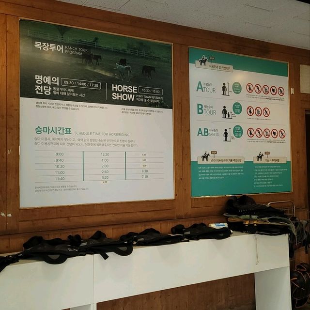 제주는 말이죠?! 🐎풍경을 즐기며 말을타보자 어승생승마장