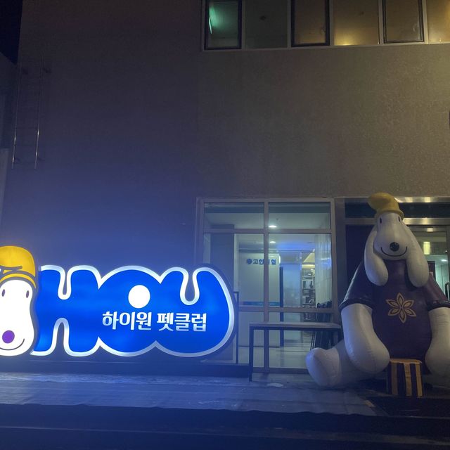 올 겨울은 정선 하이원스키장으로💕