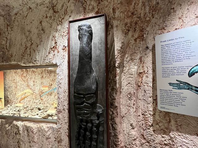 澳洲｜南澳州｜Coober Pedy出產寶石的地方