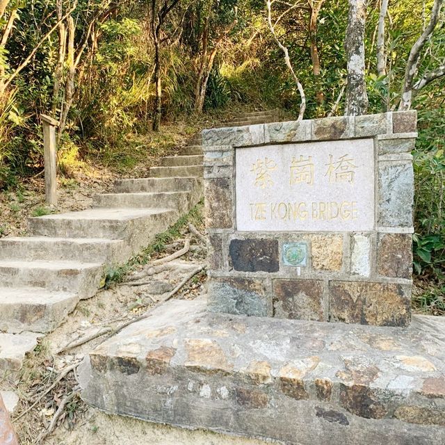 栢架山道自然徑➡️大潭水塘➡️淺水灣 栢架山道自然徑➡️大潭水塘➡️淺水灣