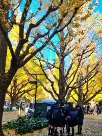 BEEN THERE, DONE THAT, AUTUMN IN JAPAN