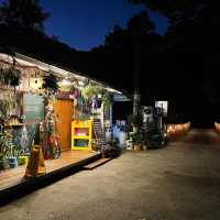 （桃園/復興）免搭帳⛺️的野溪露營-八度野溪露營區