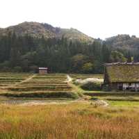 日本中部白川鄉
