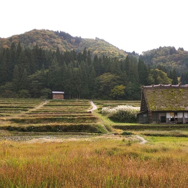 日本中部白川鄉