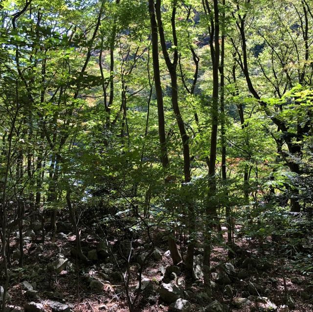 日光龍王峽