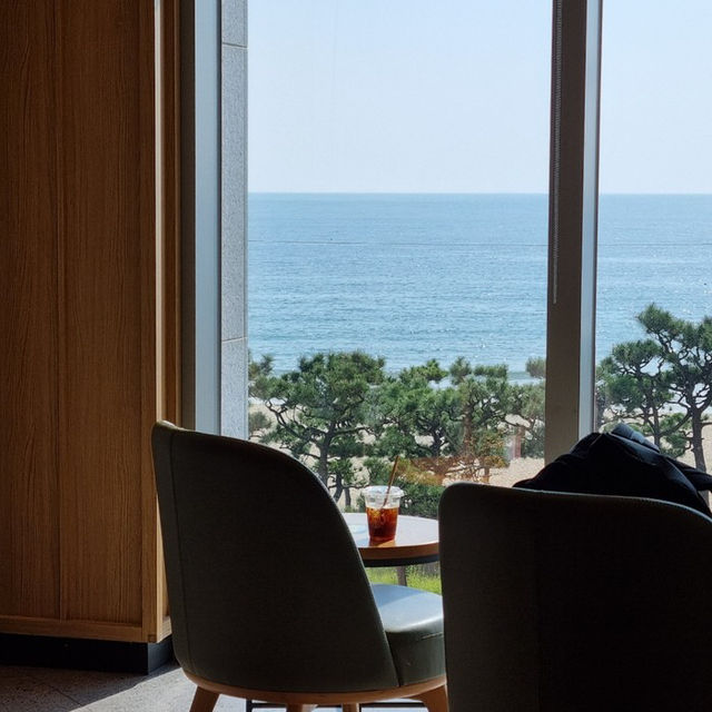 부산여행가서 꼭 들러야 하는 스타벅스가 있다 ?!🧡