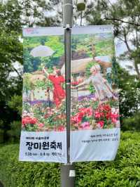 🌹과천 장미축제 - 서울대공원 장미원🌹