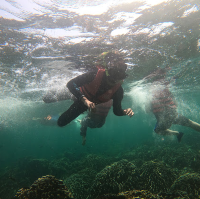 Lipe EP สุดท้าย 💗🐟🐳🐠🌊