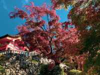 วัดคิโยะมิซุ 清水寺 หรือวัดน้ำใส 🍁⛩️