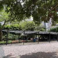 打卡澳門藝園