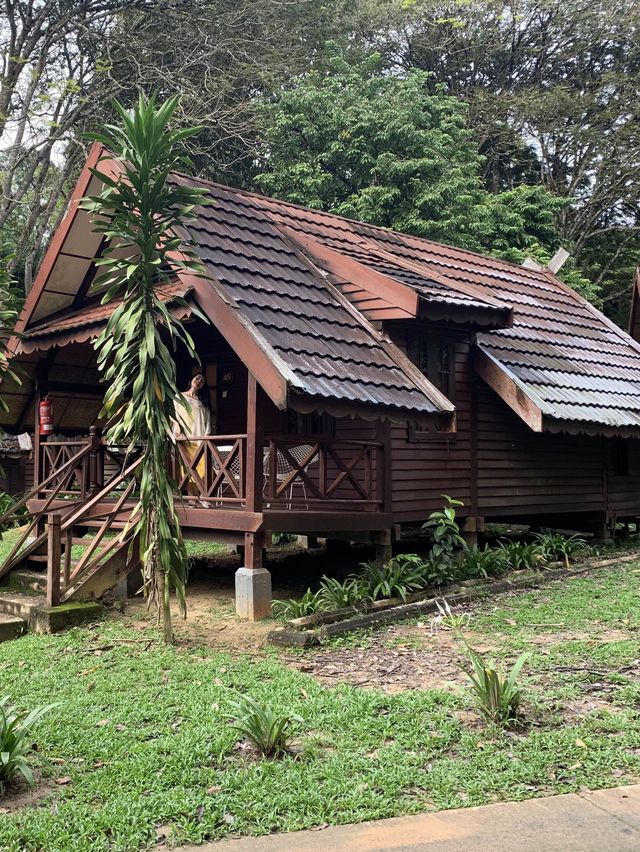 Peaceful vacation at Mutiara Taman Negara