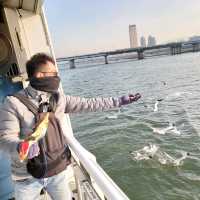 在漢江和🐦玩遊戲