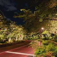 The lovely Night Garden of Tokyo Midtown