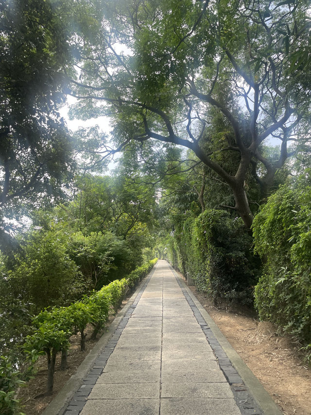 桃園市｜新屋區｜新屋埤環湖步道（桃園大圳12-2號池）