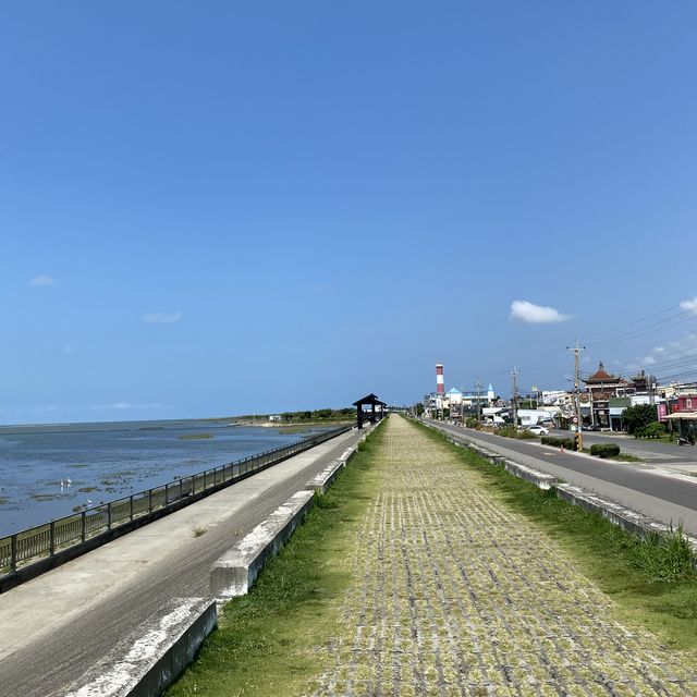 高美濕地☀️