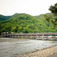 1 วัน แพลนเที่ยว Kyoto ย่านArashiyama และ Uji