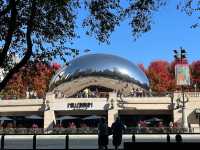 Millennium Park 🍃✨