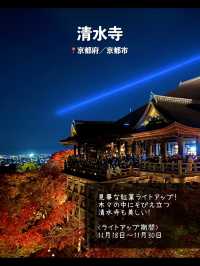 今年絶対に見逃したくない…！全国の紅葉ライトアップスポット7選🍁