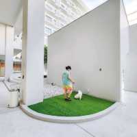 โรงแรม Pet Friendly สไตล์มินิมอล มู้ดดีเต็มสิบ!
