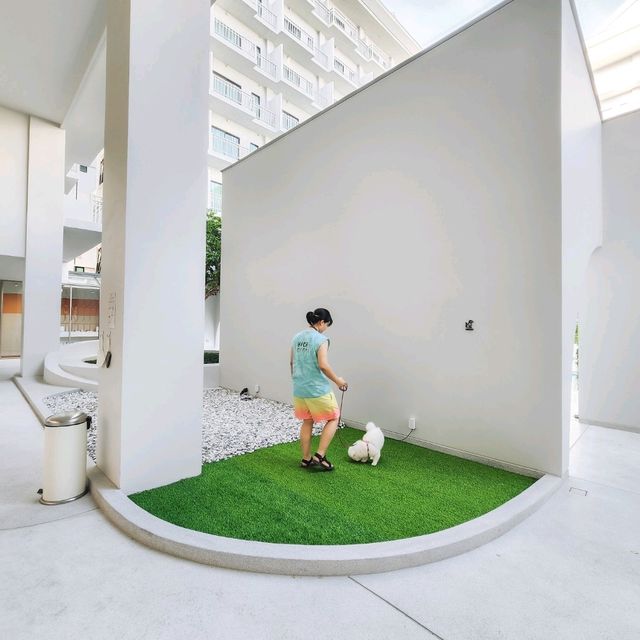 โรงแรม Pet Friendly สไตล์มินิมอล มู้ดดีเต็มสิบ!