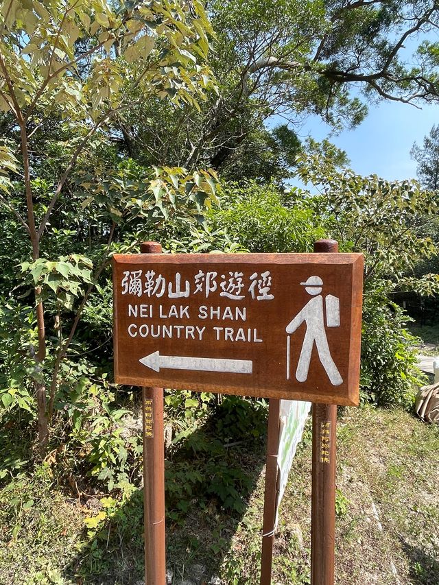 彌勒山🌿昂坪棧道｜秋天行山打卡推介📸