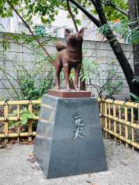 【東京都/蔵前神社】ミモザ咲かない緑豊かな境内