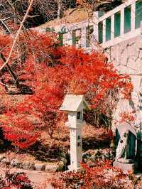 🍁福岡｜Nomiyama Kannonji Temple 呑山観音寺