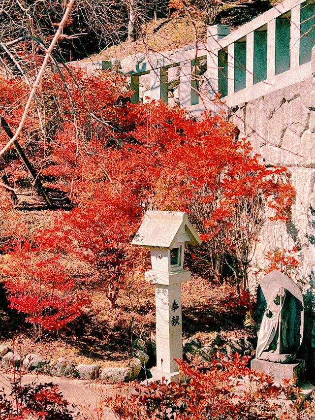 🍁福岡｜Nomiyama Kannonji Temple 呑山観音寺