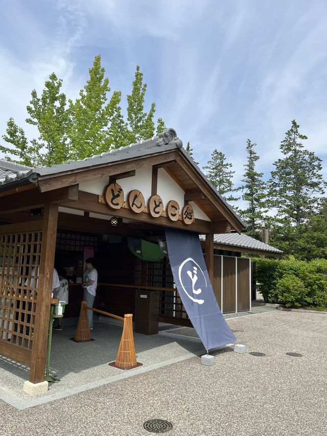 【愛知　名古屋】ジブリパークさっきとメイの家