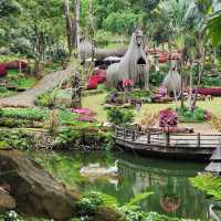 ชมดอกไม้งาม บานตลอดปี ที่  สวนแม่ฟ้าหลวง  ดอยตุง