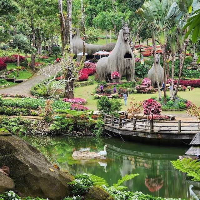 ชมดอกไม้งาม บานตลอดปี ที่  สวนแม่ฟ้าหลวง  ดอยตุง