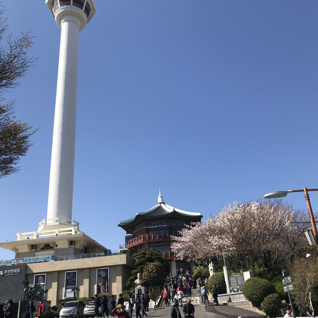 釜山塔（鑽石塔）景觀台看夜景❤️～使用VBS免費入場