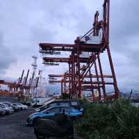 巨型橋底下看海景別具一番風味