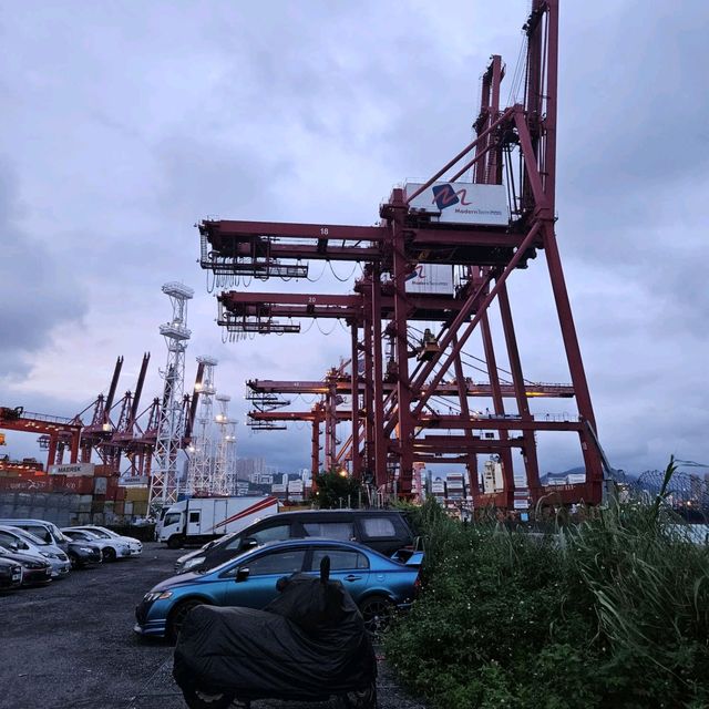 巨型橋底下看海景別具一番風味