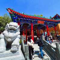 Wong Tai Sin Temple  ฮ่องกง