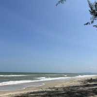 ร้านอาหารทิวสน - thiwson สุดสัปดาห์กับครอบครัว 🍽️