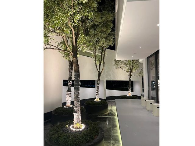山水之間，中山紫馬嶺公園的自然文化之旅