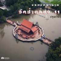 วัดป่าคลอง11 จ.ปทุมธานี