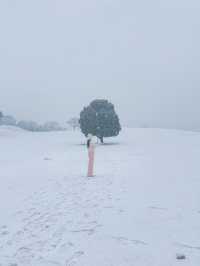 눈 올땐 삿포로 부럽지 않은 서울 올림픽공원🩵❄️