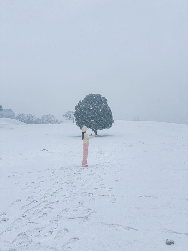 눈 올땐 삿포로 부럽지 않은 서울 올림픽공원🩵❄️
