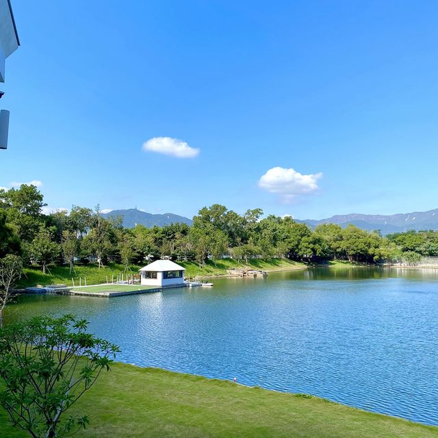 《假日打卡推介📸》🌥️大埔小白鷺純白木屋餐廳🤍🛖