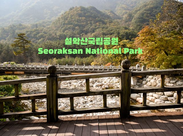เที่ยวอุทยานแห่งชาติเกาหลีที่ซอรัคซาน 🌳🇰🇷