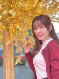 💖新年好去處🏮美燈之景光影祭