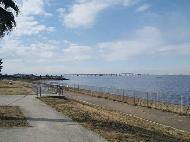 Kanedasazanami Park 