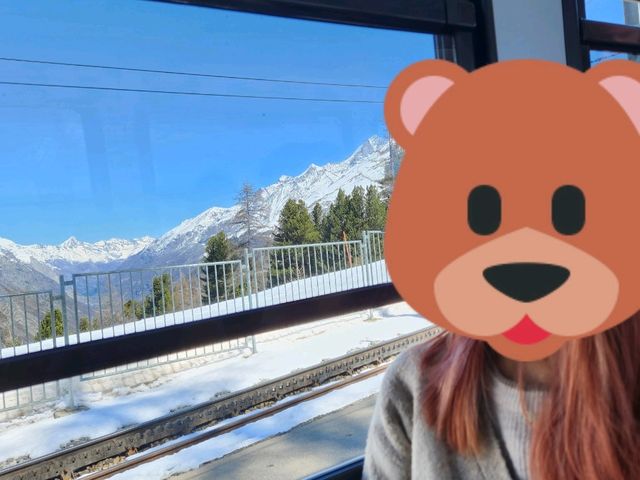 【瑞士鐵路】戈爾內格拉特火車：40分鐘山景旅程