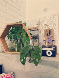 Jam And Kaya Cafe
