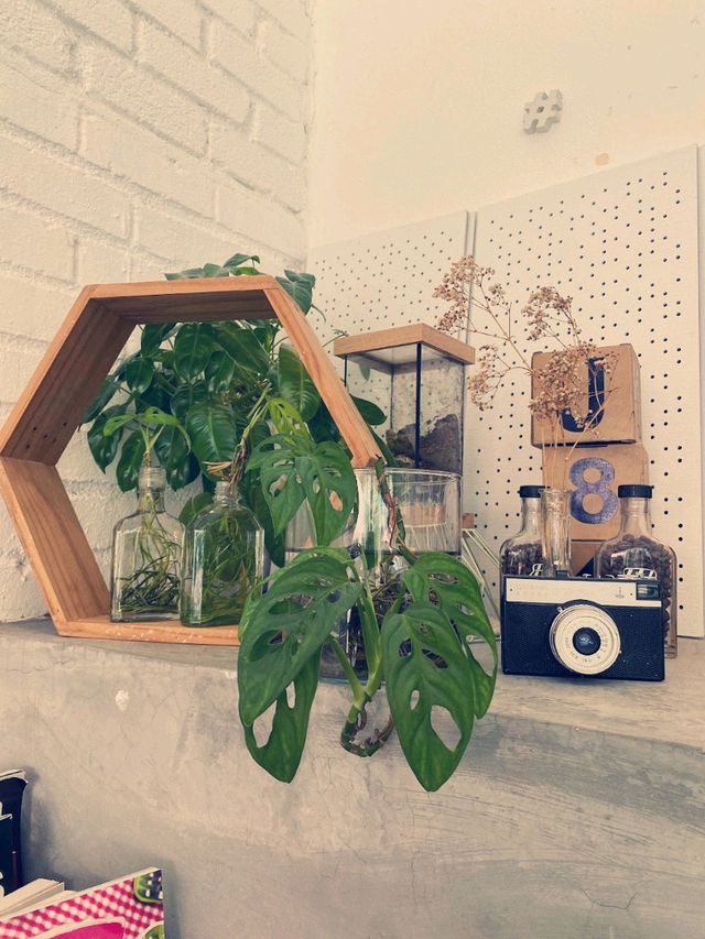 Jam And Kaya Cafe