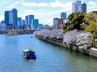 Kema Sakuranomiya Park