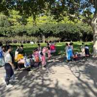 上海世紀公園